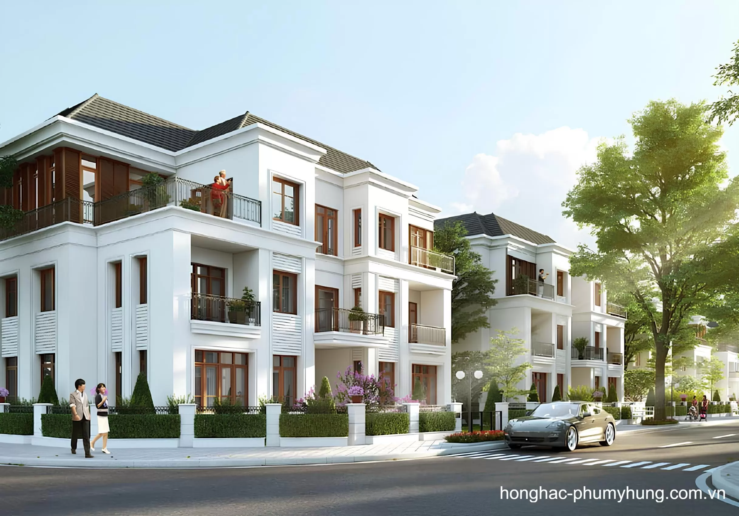 Hình ảnh minh họa tham khảo